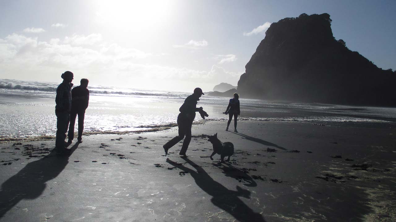 The sun casts shadows on a man who plays with a dog as three others walk along the beach in Auckland, New Zealand