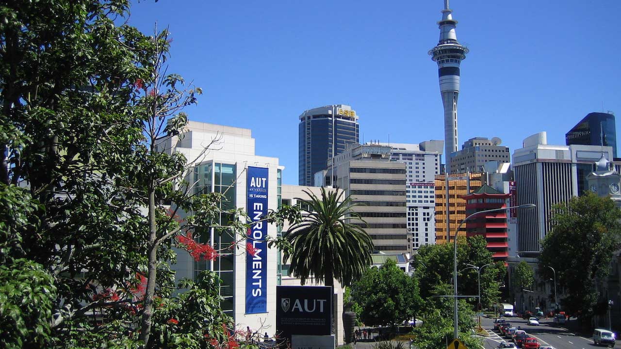 Intermitted trees between Auckland's cityscape
