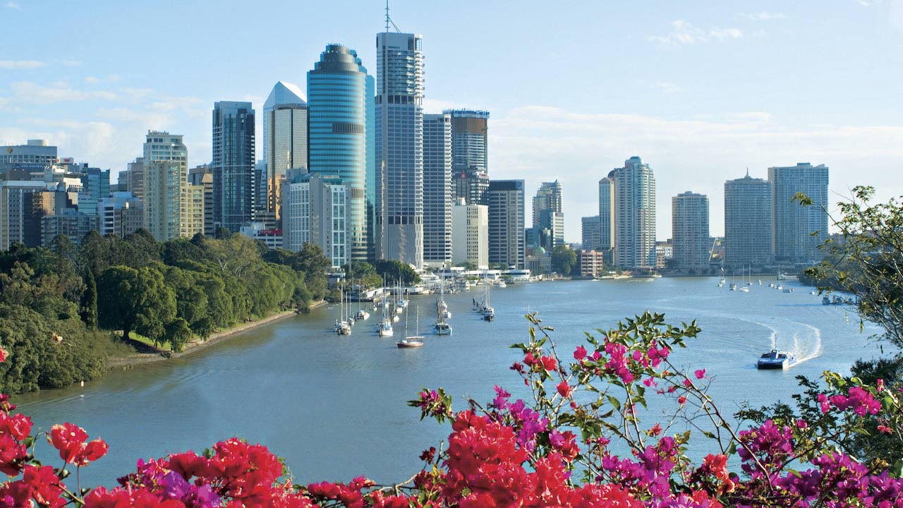 Red and purple flowers set in front of the Brisbane River and the city's skyline