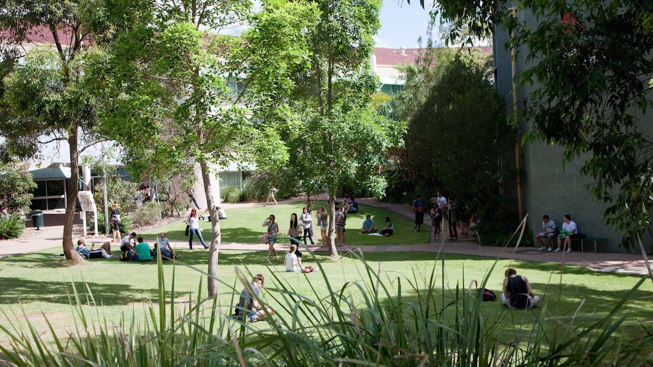 Groups of students sit on the sunny quad on Griffith's Gold Coast campus