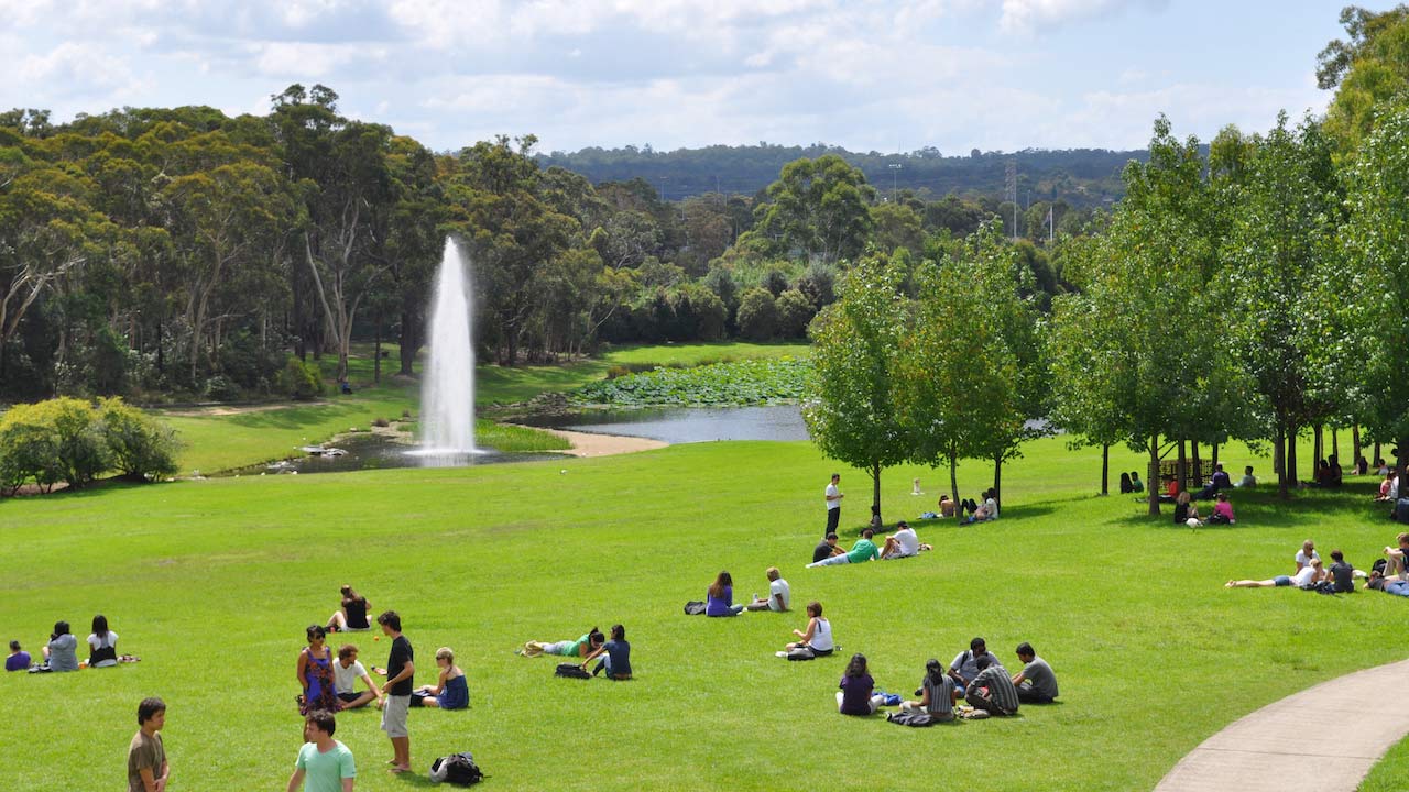 Groups of students lay on the grass on Macquarie University's campus near a flowing water fountain