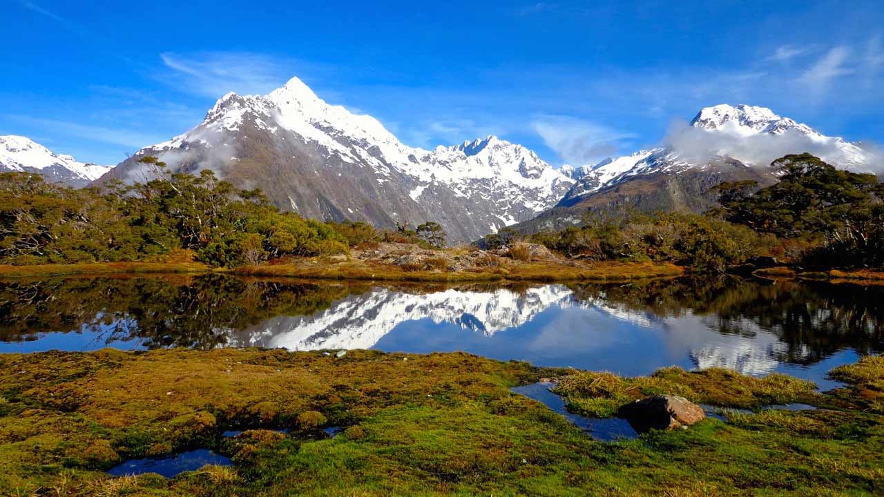 Be surrounded by New Zealand's natural beauty when you intern abroad