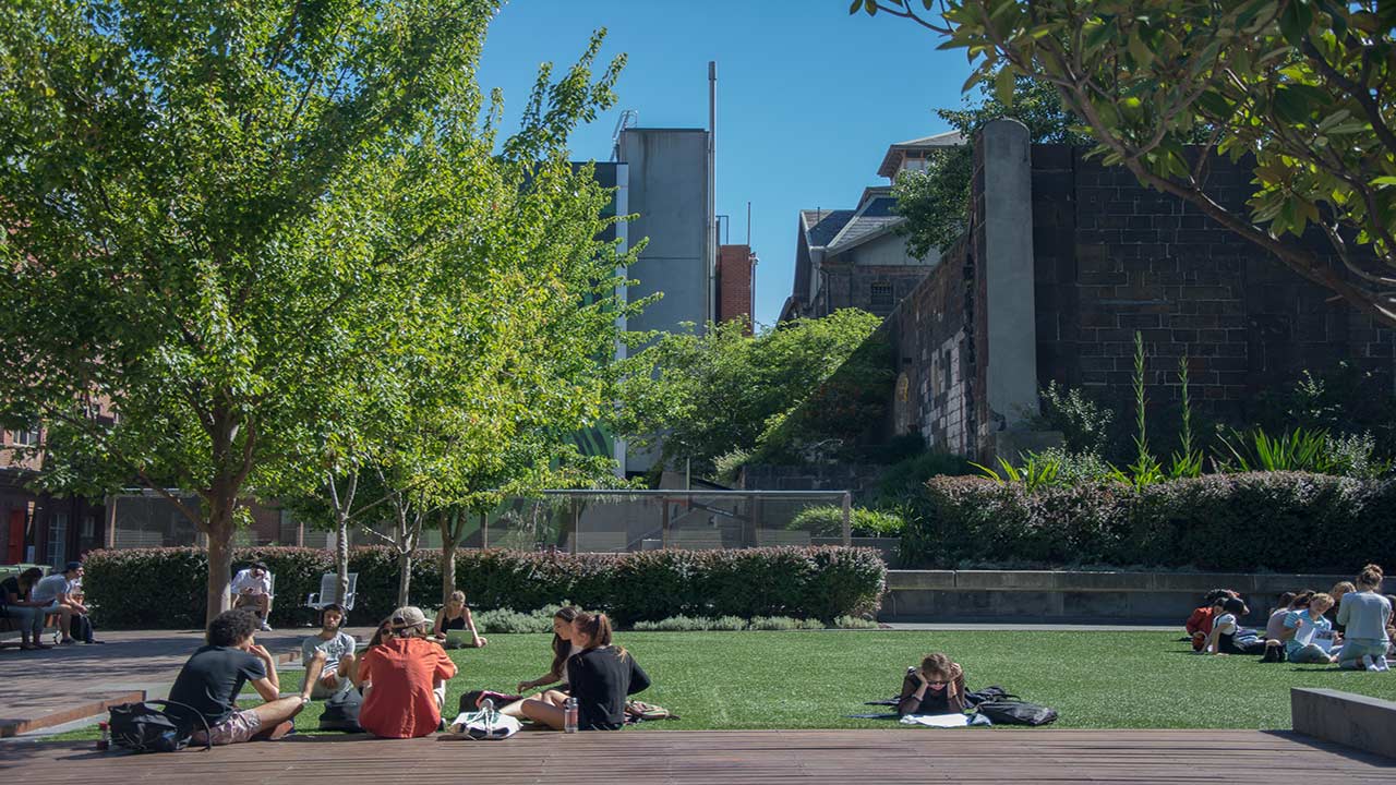 Students gather under a tree on a patch of grass on RMIT's campus