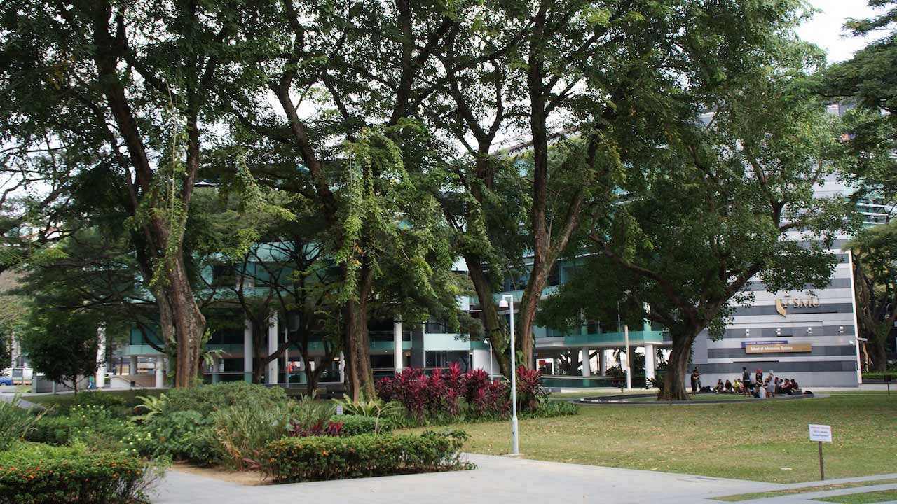 Lush greenery on Singapore Management University's campus