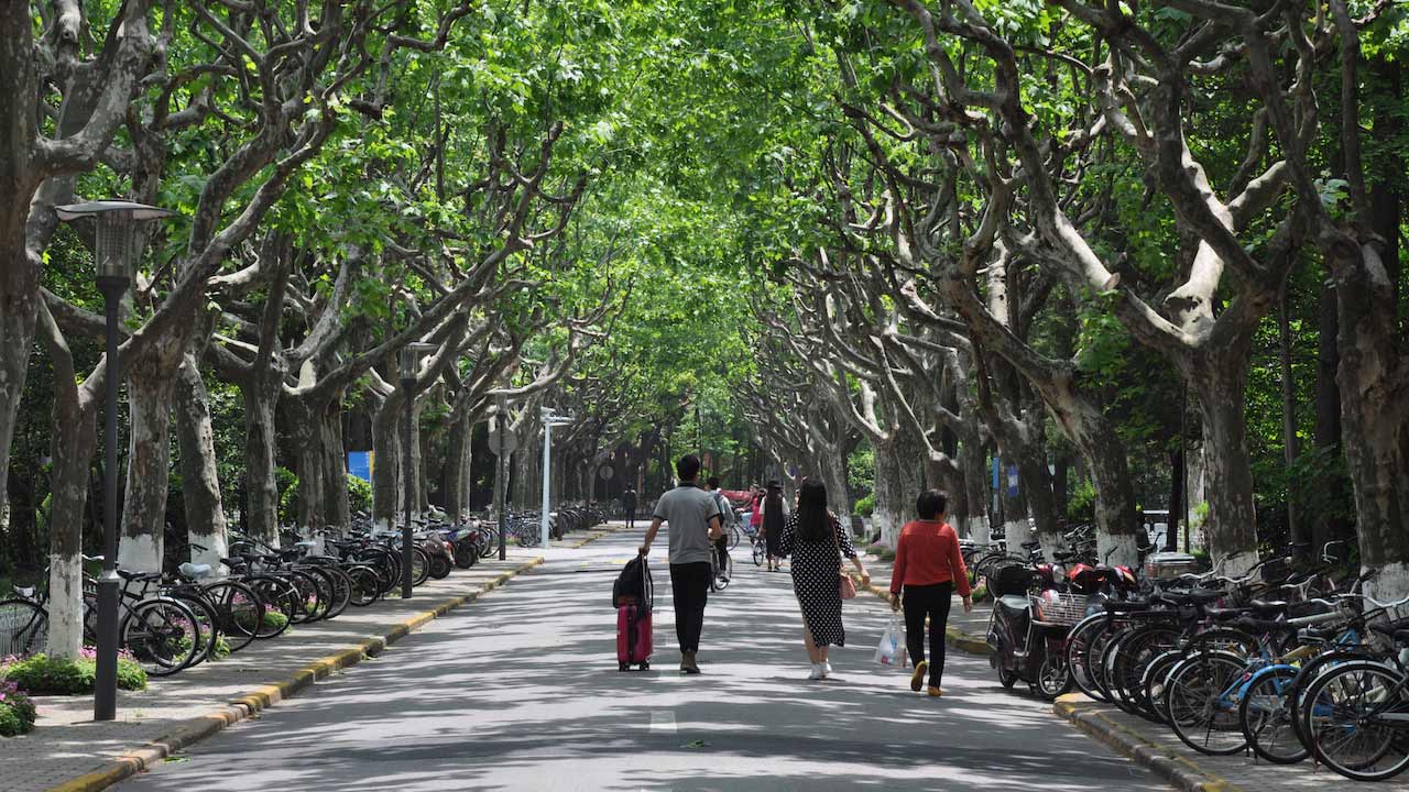 A family walks down a tree lined path in Shanghai