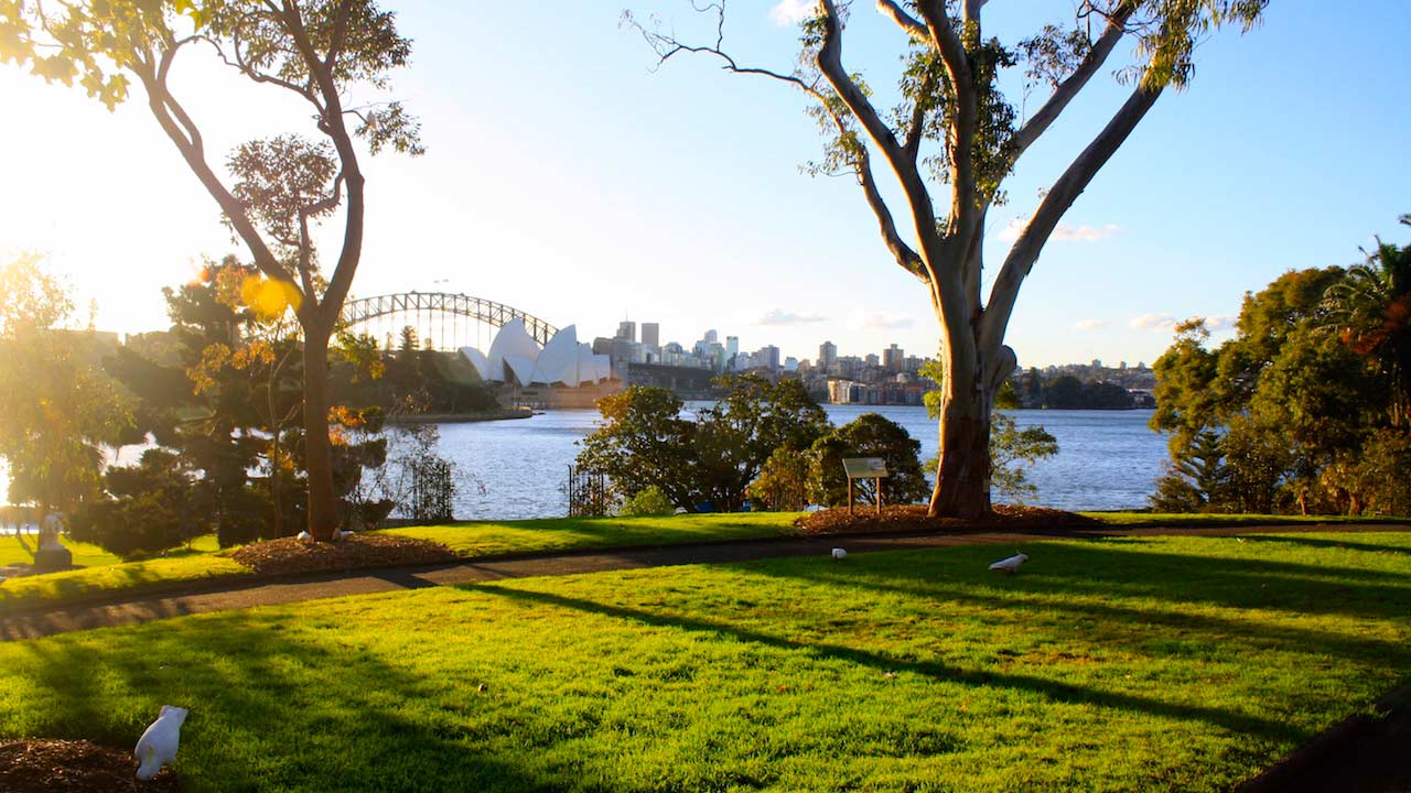 Sun casts shadows amongst the trees on a grassy hill along the Sydney Harbour