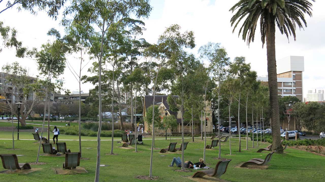 People lay on lawn chairs strewn about a grassy quad on University of Sydney's campus