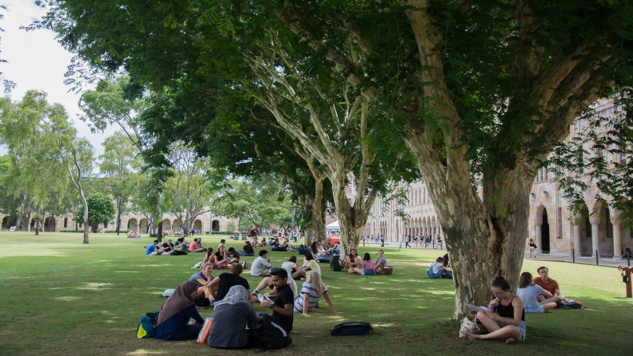 Students sit in groups under the large trees on the quad of UQ's campus