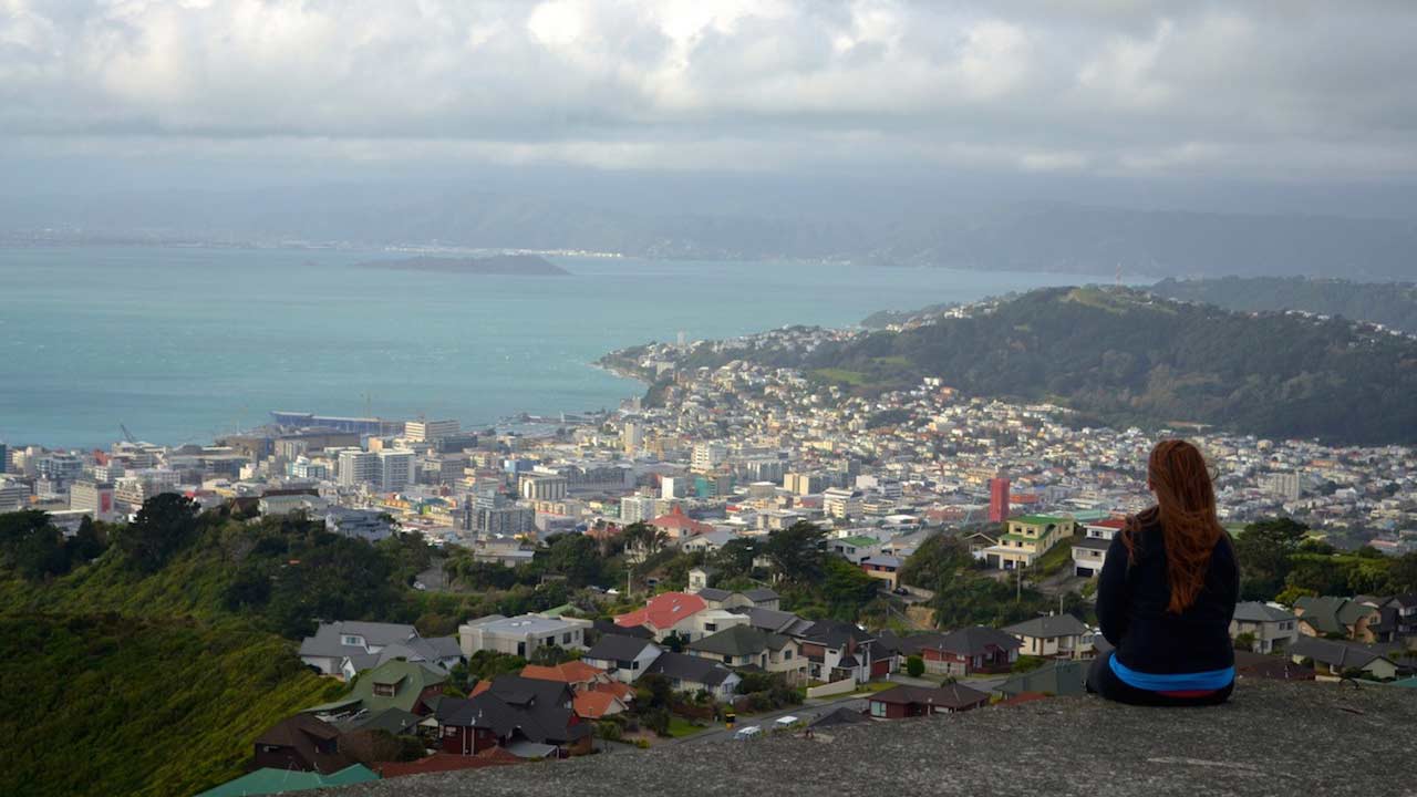 A woman sits on a hill looking out over Wellington, New Zealand