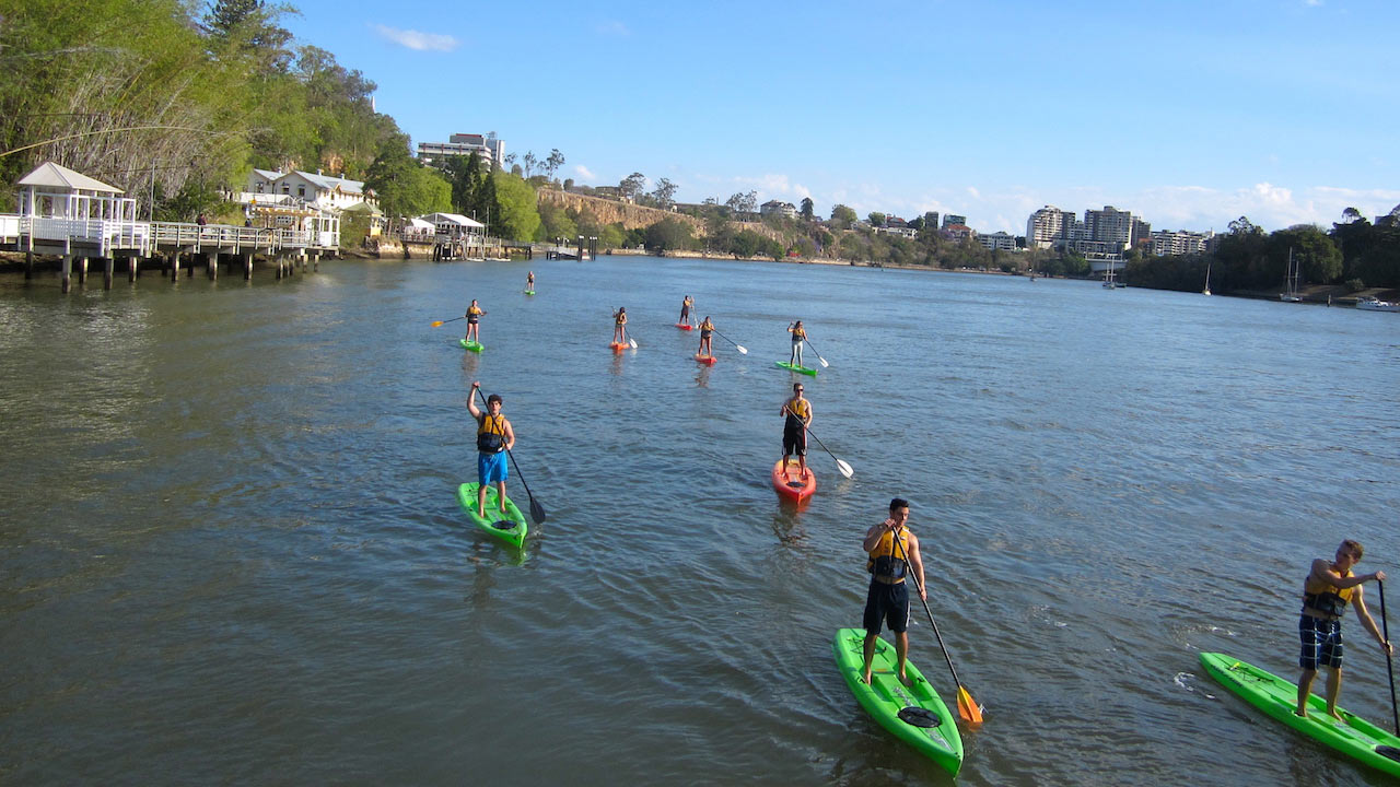 A group of people stand up paddle boarding on a river in Brisbane