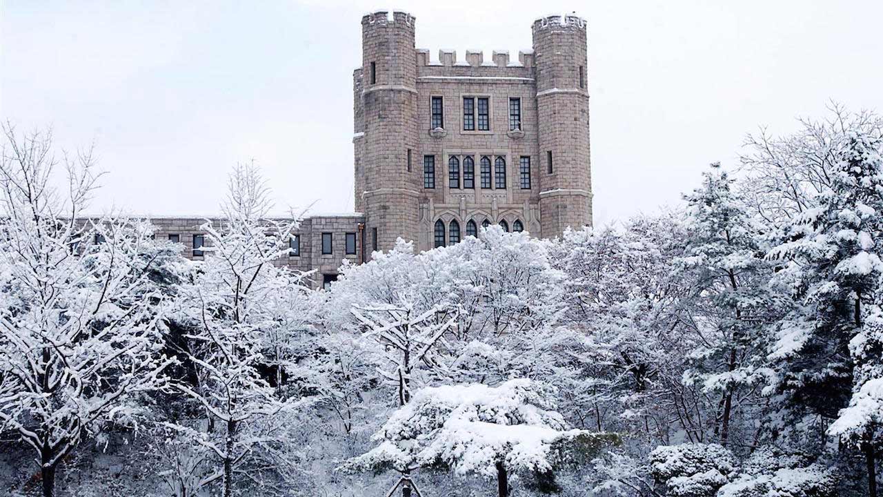 Snow covered trees and the top of a castle-like building on Korea University's campus