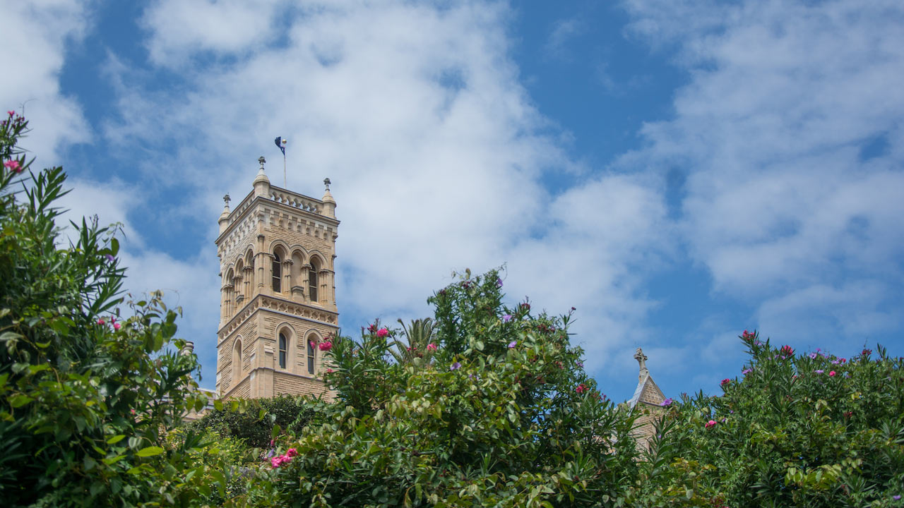 The top of ICMS's main building peeks above a row of purple flowered trees in Manly, Australia