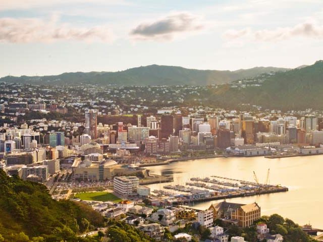 Wellington harbour view