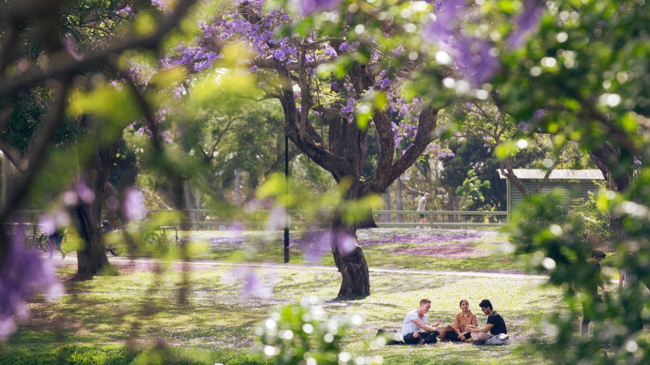 Students Sitting on Lawn niversity of Queensland Campus