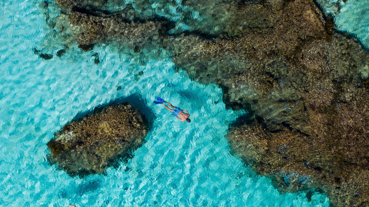 Snorkeling in Western Australia